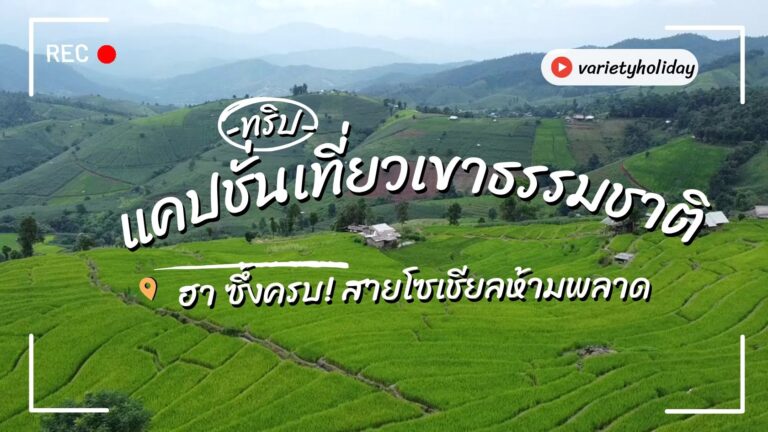 แคปชั่นเที่ยวเขาธรรมชาติ: ฮา ซึ้งครบ! สายโซเชียลห้ามพลาด