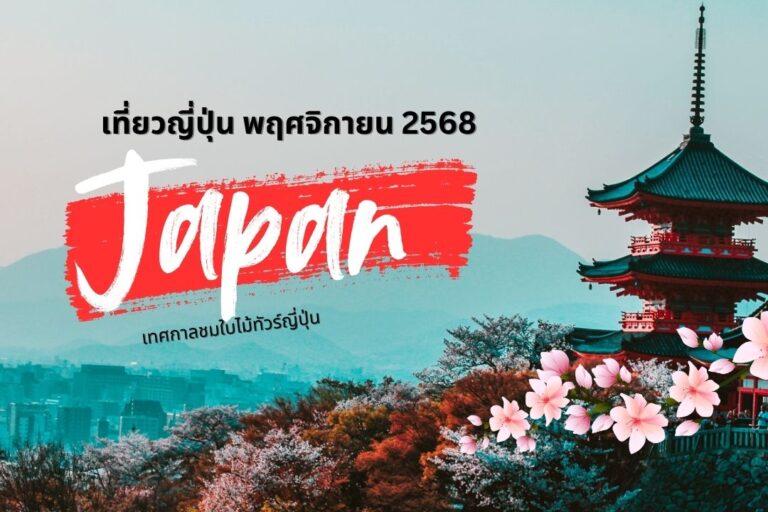 เที่ยวญี่ปุ่น พฤศจิกายน 2568